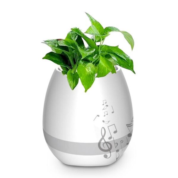 Parlante Altavoz Matera Bluetooth En Plastico