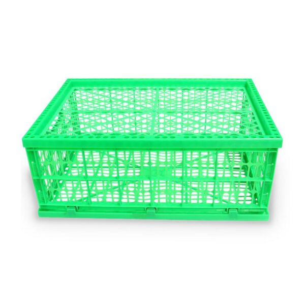 Canasta Plastica Plegable Practica Productos Delicados