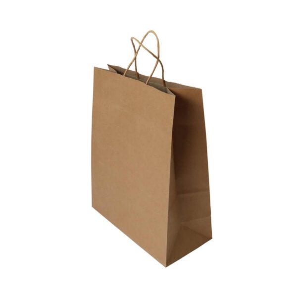 Bolsas de Papel Craft Mediana Reciclable Manija Trenzada