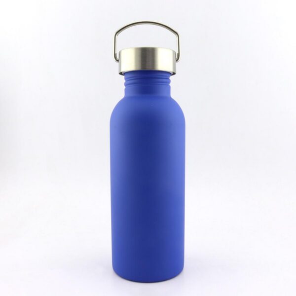 Botella Botilito Metalico Mark 690 ml