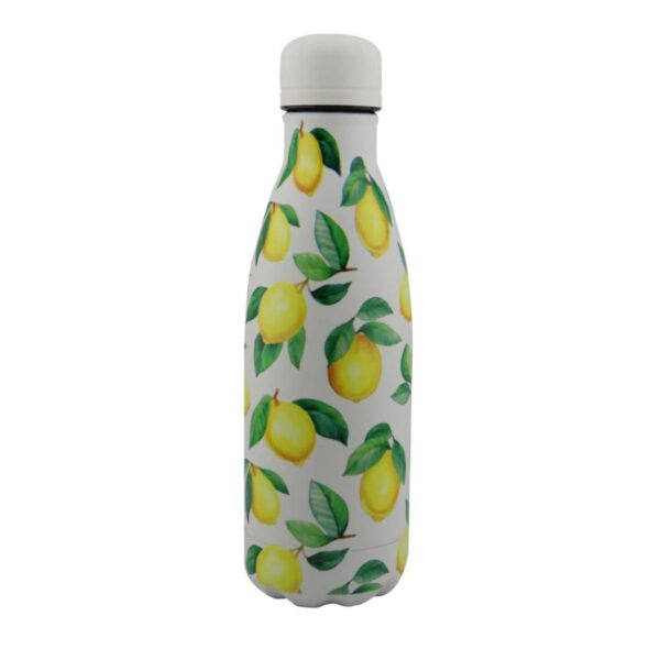 Botella Botilito 5D Fruta ST1 500 ml