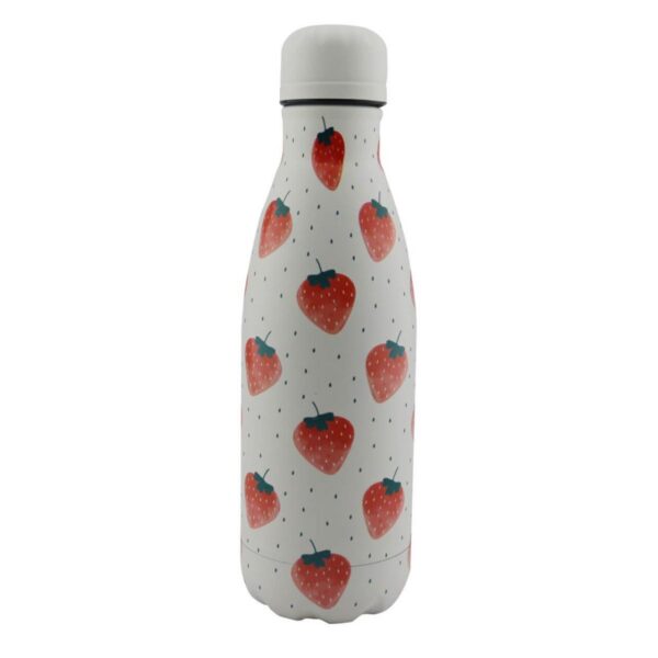 Botella Botilito 5D Fruta ST2 500ml