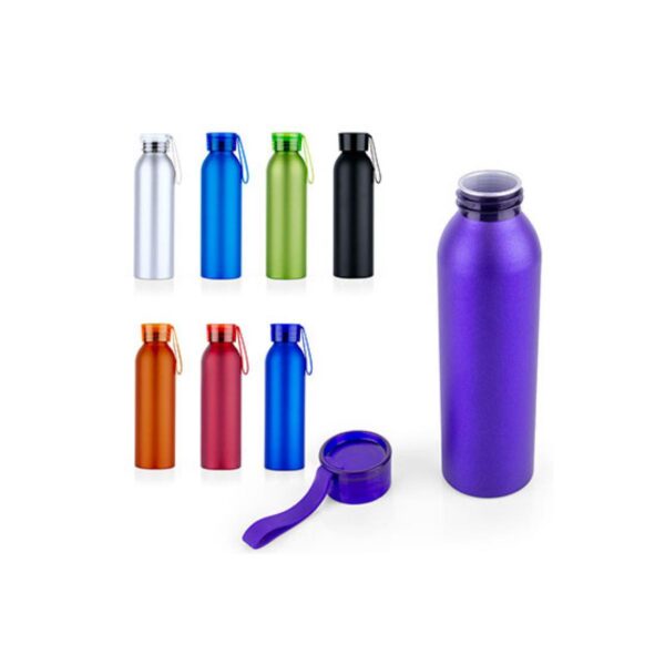 Botilito Botella Aluminio Odette 450 ml