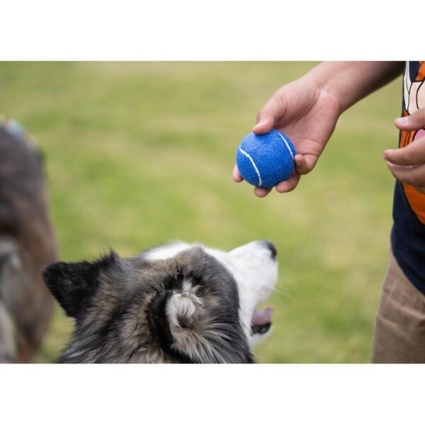 Pelota para mascotas Marley En Caucho Y Tela 2,5 Pulgadas