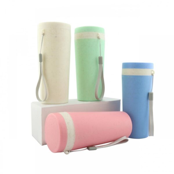 Botilito Botella Ecoplastico Capacidad 300 ml