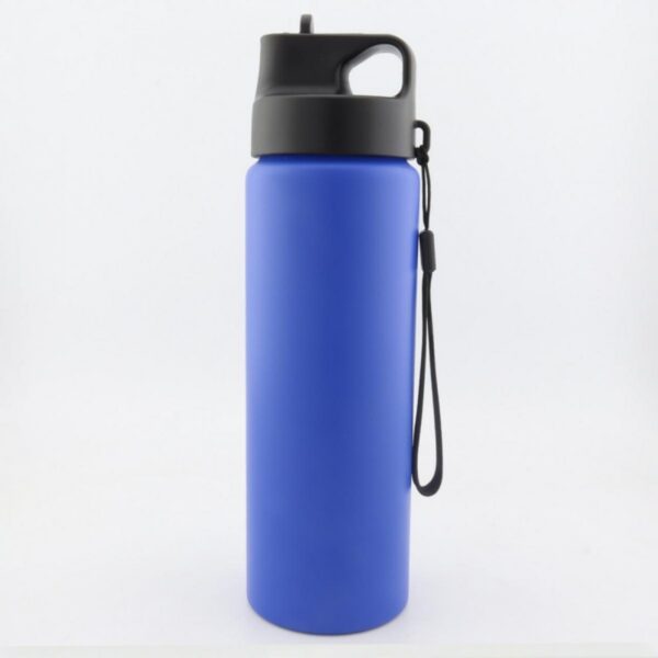 Botella Botilito Carry Metálico Doble Pared 700ml