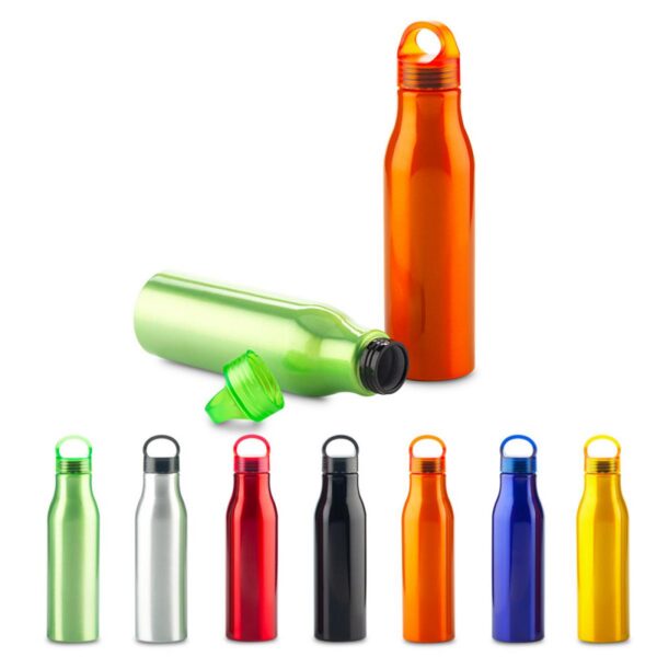 Botella Botilito Metalico Barry 600 ml