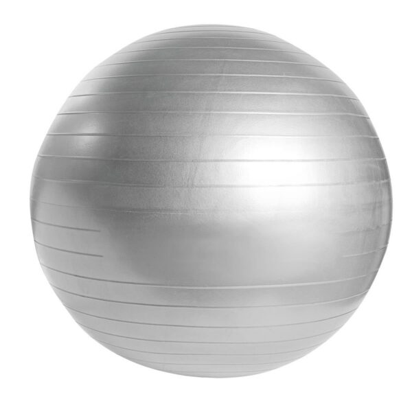 Pelota de Pilates Yoga Wellness En Pvc