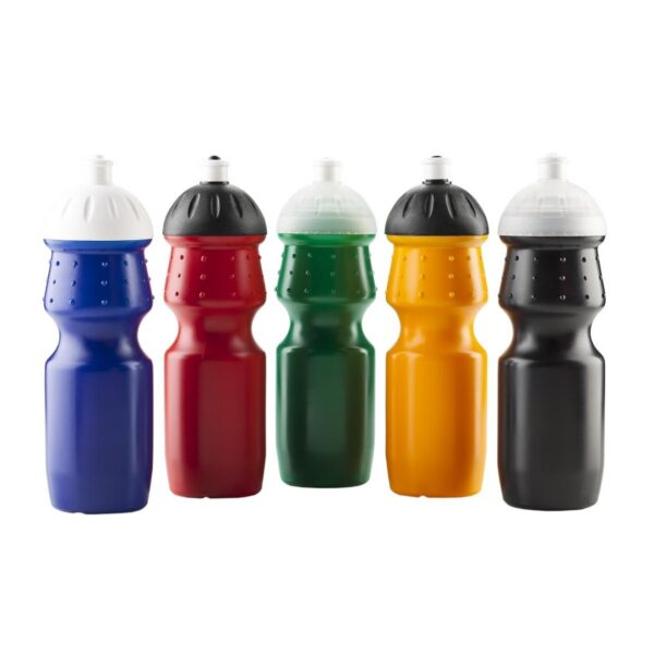 Termo Botella Igloo En Polietileno
